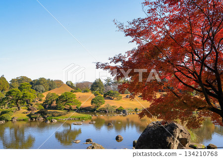 熊本縣水前寺常壽園大名庭園的秋葉美景 134210768