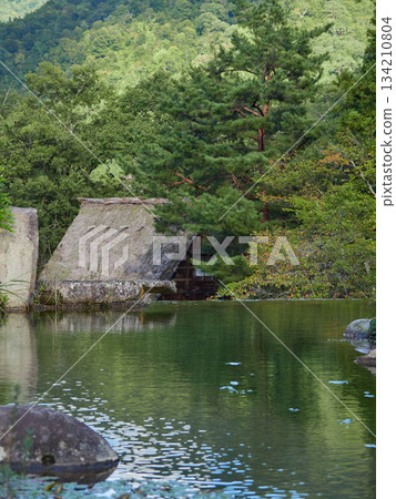 白川鄉露天博物館（世界遺產）的合掌造民居景觀 134210804