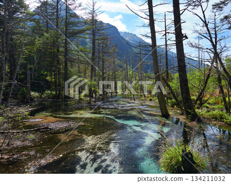 上高地熱門旅遊景點-岳澤濕地的原始森林和水景 上高地熱門旅遊景點-岳澤濕地的原始森林和水景 134211032