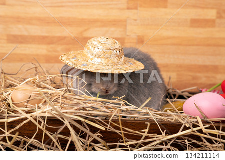 cute gray rabbit wearing a straw hat sitting in a nest of hay with colorful Easter eggs, creating a charming and festive scene perfect for holiday themes and seasonal celebrations cute gray rabbit wearing a straw hat sitting in a nest of hay with colorful Easter eggs, creating a charming and festive scene perfect for holiday themes and seasonal celebrations 134211114