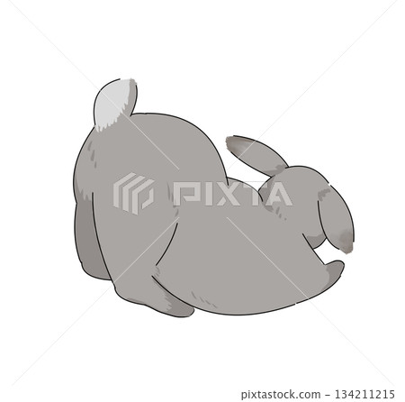 A gray rabbit with long droopy ears 134211215