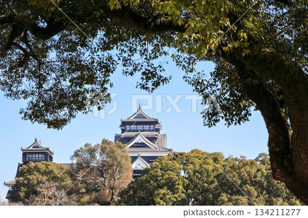 Kumamoto: View of Kumamoto Castle's main tower from Ninomaru Parking Lot 134211277