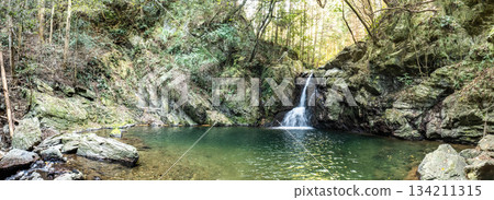 靜岡縣濱松市綠色森林中的仙岩瀑布全景 134211315