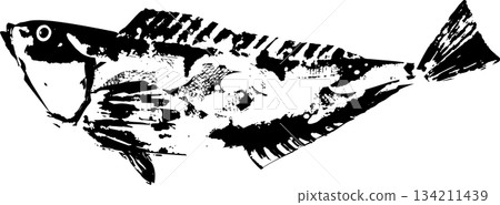Japanese-style rockfish fish print illustration Japanese-style rockfish fish print illustration 134211439