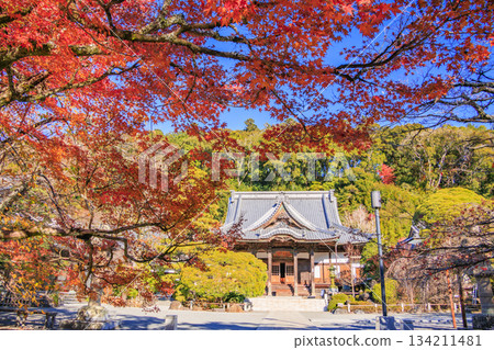Autumn leaves at Shuzenji Temple in Izu Autumn leaves at Shuzenji Temple in Izu 134211481