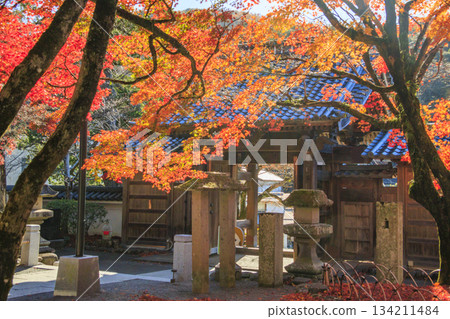 Autumn leaves at Shuzenji Temple in Izu Autumn leaves at Shuzenji Temple in Izu 134211484