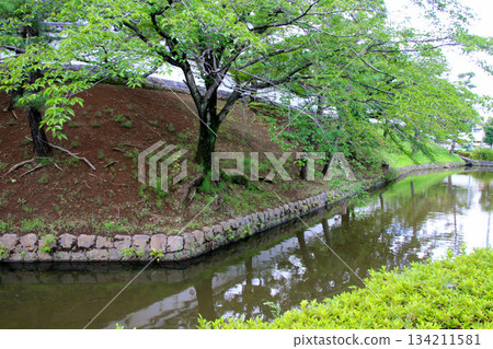 Oshiro Oshiro 134211581