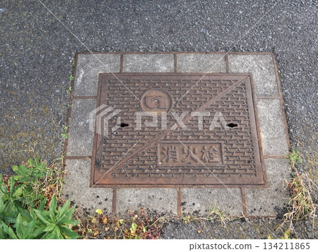 Iron lid fire hydrant 134211865