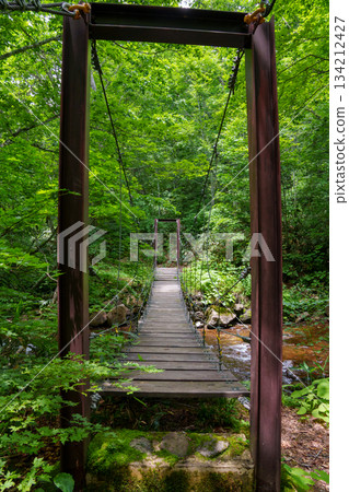 250706 Okushiga Valley, Nagano Prefecture 250706 Okushiga Valley, Nagano Prefecture 134212427