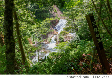 250706 Okushiga Valley, Nagano Prefecture 250706 Okushiga Valley, Nagano Prefecture 134212443