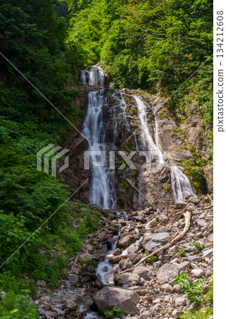 250711 Fudo Falls in Takizawa, Akiyama-go 134212608