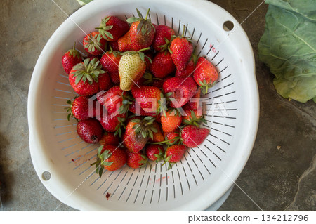 草莓 水果 耕種的 134212796