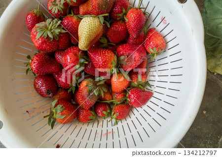草莓 水果 耕種的 134212797