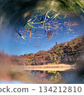 倒映著秋葉的池塘 134212810