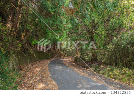 The road leading to the top of the mountain, Kasagi Town, Kyoto Prefecture The road leading to the top of the mountain, Kasagi Town, Kyoto Prefecture 134212835