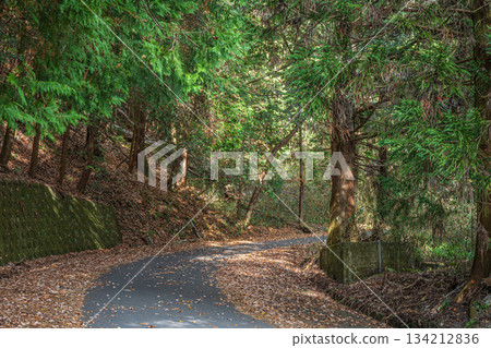 The road leading to the top of the mountain, Kasagi Town, Kyoto Prefecture 134212836