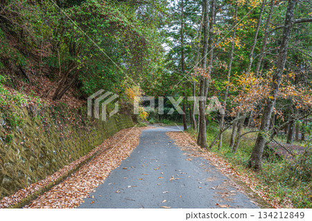 Kasagi forest scenery, Kasagi Town, Kyoto Prefecture Kasagi forest scenery, Kasagi Town, Kyoto Prefecture 134212849