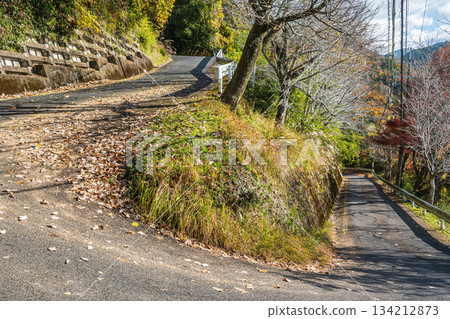 通往京都府笠木町笠木山村的道路 134212873