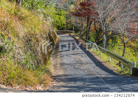 通往京都府笠木町笠木山村的道路 134212874