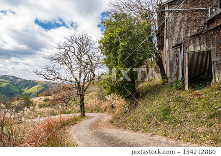 Forest road, Kasagi Town, Kyoto Prefecture 134212880