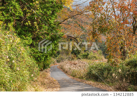 通往京都府笠木町山頂的道路 通往京都府笠木町山頂的道路 134212885