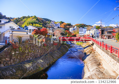 Izu Shuzenji Onsen, where autumn leaves are at their peak 134212966