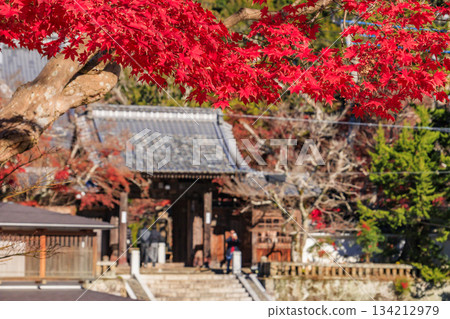 Izu Shuzenji Onsen, where autumn leaves are at their peak 134212979