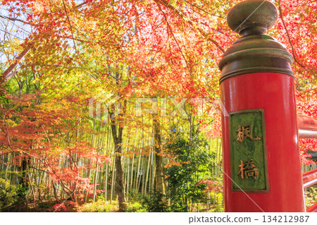 伊豆修善寺溫泉，秋葉正值最美時節 134212987