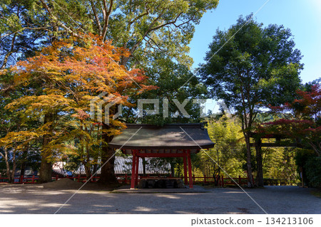Kitabatake Shrine's Chozuya (purification fountain) surrounded by autumn leaves and evergreen trees Kitabatake Shrine's Chozuya (purification fountain) surrounded by autumn leaves and evergreen trees 134213106