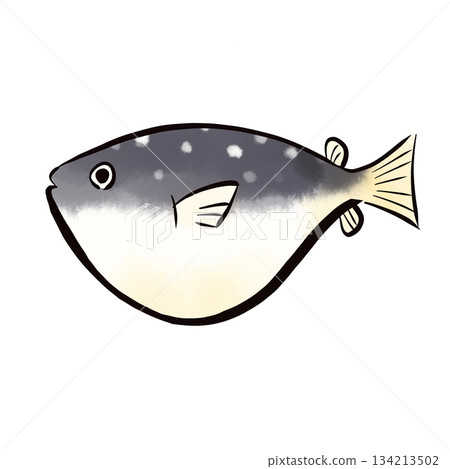 Watercolor Japanese style deformed pufferfish illustration 134213502