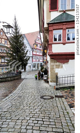 Heidelberg, Germany - December 25 2021: Heidelberg Surroundings Heidelberg, Germany - December 25 2021: Heidelberg Surroundings 134213587