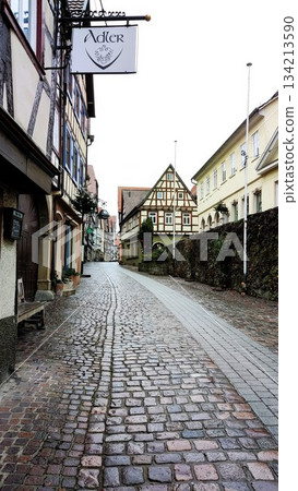 Heidelberg, Germany - December 25 2021: Heidelberg Surroundings Heidelberg, Germany - December 25 2021: Heidelberg Surroundings 134213590