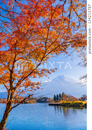 【靜岡縣】狸湖秋景：湖畔紅葉與富士山 134213787