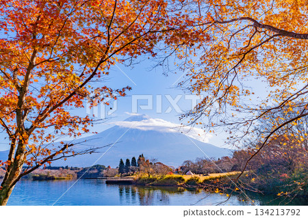 【靜岡縣】狸湖秋景:湖畔紅葉與富士山 【靜岡縣】狸湖秋景:湖畔紅葉與富士山 134213792
