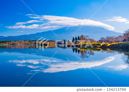 [Shizuoka Prefecture] Lake Tanuki in Autumn: Autumn leaves on the lakeside and Mount Fuji 134213799