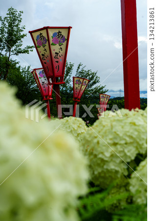 2500715 Tokamachi City Hydrangea Park 134213861