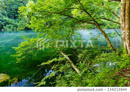 250716 津南町龍久保 134213944