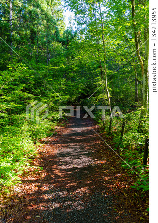 250716 津南町龍久保 250716 津南町龍久保 134213955