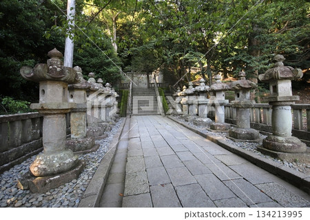 久能山東照宮、靜岡縣、駿河、中央無線電塔、日本平數字塔 134213995