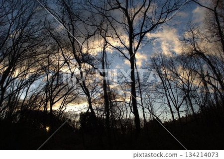 Cold winter morning sun Cold winter morning sun 134214073