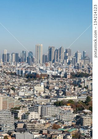 View of the skyscrapers of Shinjuku, Tokyo from Sangenjaya View of the skyscrapers of Shinjuku, Tokyo from Sangenjaya 134214123