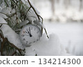 Alarm clock sits in snowy tree the time approaching noon, suggesting the passage of time and seasons 134214300