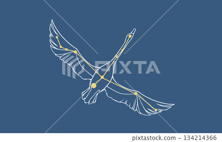 天鵝座漂浮在深藍色背景上的插圖 134214366