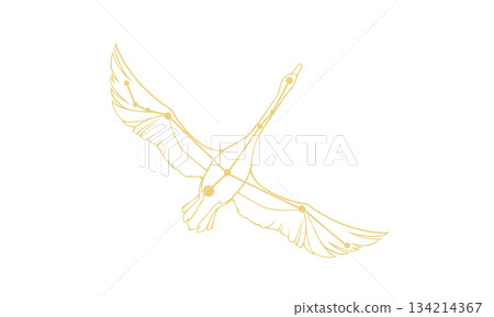 天鵝座線描圖（僅金色線條） 134214367