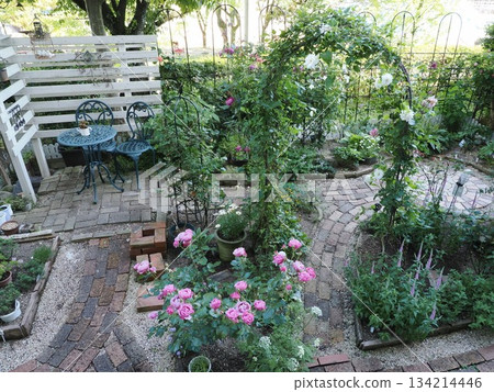 Symphony of Spring - A Feast of Roses and Clematis Blooming in the Gardens of Kasuga City Symphony of Spring - A Feast of Roses and Clematis Blooming in the Gardens of Kasuga City 134214446