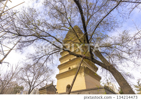 The Small Wild Goose Pagoda is a historical sites in Xi'an, China The Small Wild Goose Pagoda is a historical sites in Xi'an, China 134214473