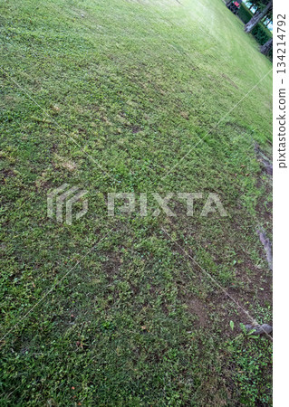 草坪割草 草地 草坪 134214792