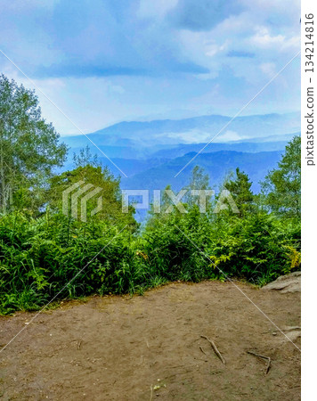 Mountain ridges view from forest edge mist and cloudy sky Mountain ridges view from forest edge mist and cloudy sky 134214816