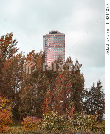 High rise above autumn trees city park skyline vertical High rise above autumn trees city park skyline vertical 134214859