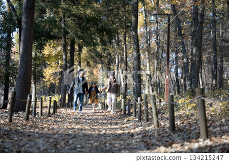 秋冬季節,一家人在路邊樹木環繞的公園玩耍。畫面中,一家人穿著外套,手牽手,享受著郊遊和休閒時光。 秋冬季節,一家人在路邊樹木環繞的公園玩耍。畫面中,一家人穿著外套,手牽手,享受著郊遊和休閒時光。 134215247